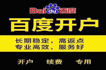 百度本地推广案例：助力企业抢占区域市场